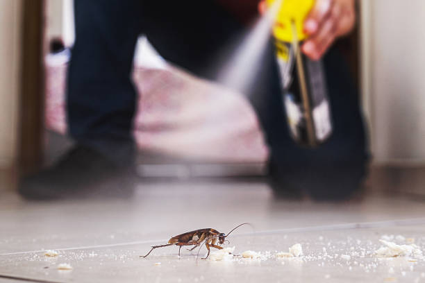 Best Exterminator Services  in Advae, NC